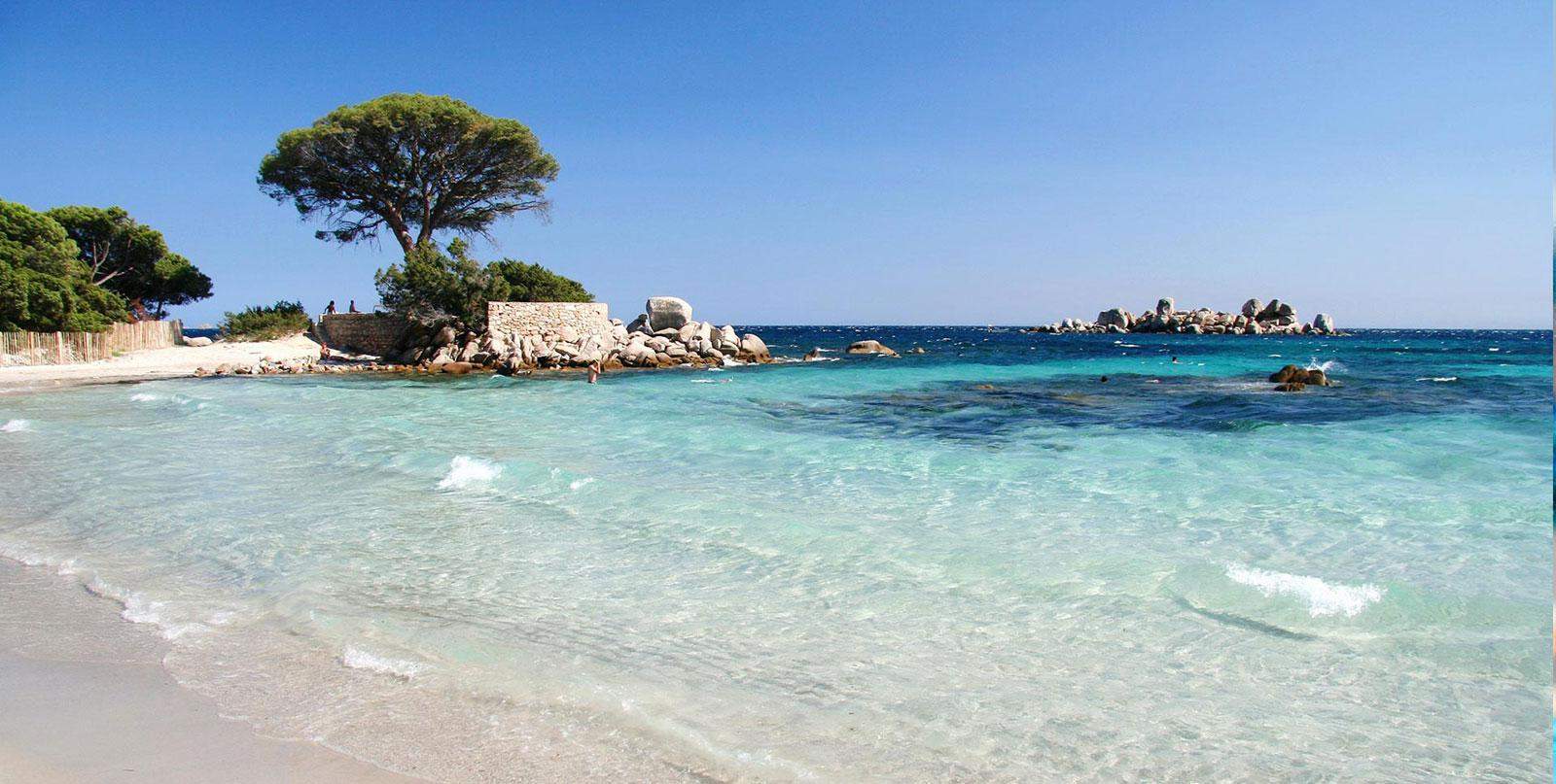 Αποτέλεσμα εικόνας για Palombaggia Beach Porto-Vecchio – Corsica