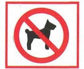 pictogramme-chien-interdit